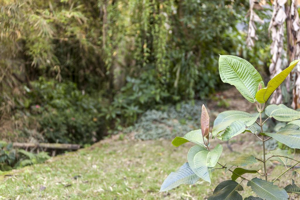 Pousada Quatro Estacoes Trindade  Zewnętrze zdjęcie